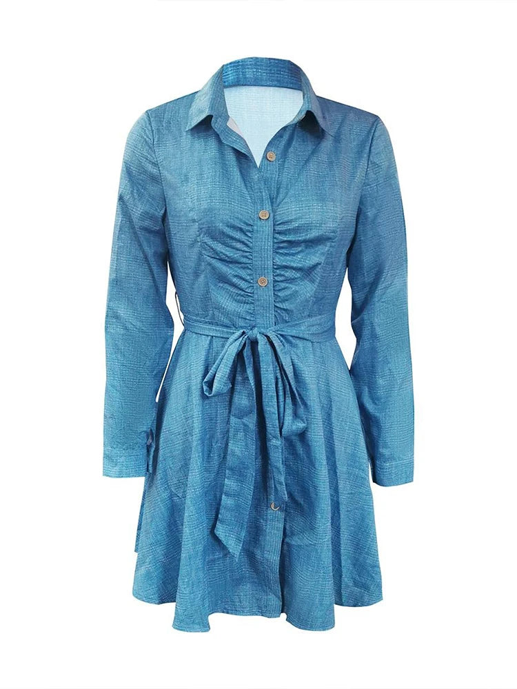 LW Casual Long Sleeve Pleated A-Line Midi Shirt Dress for Women