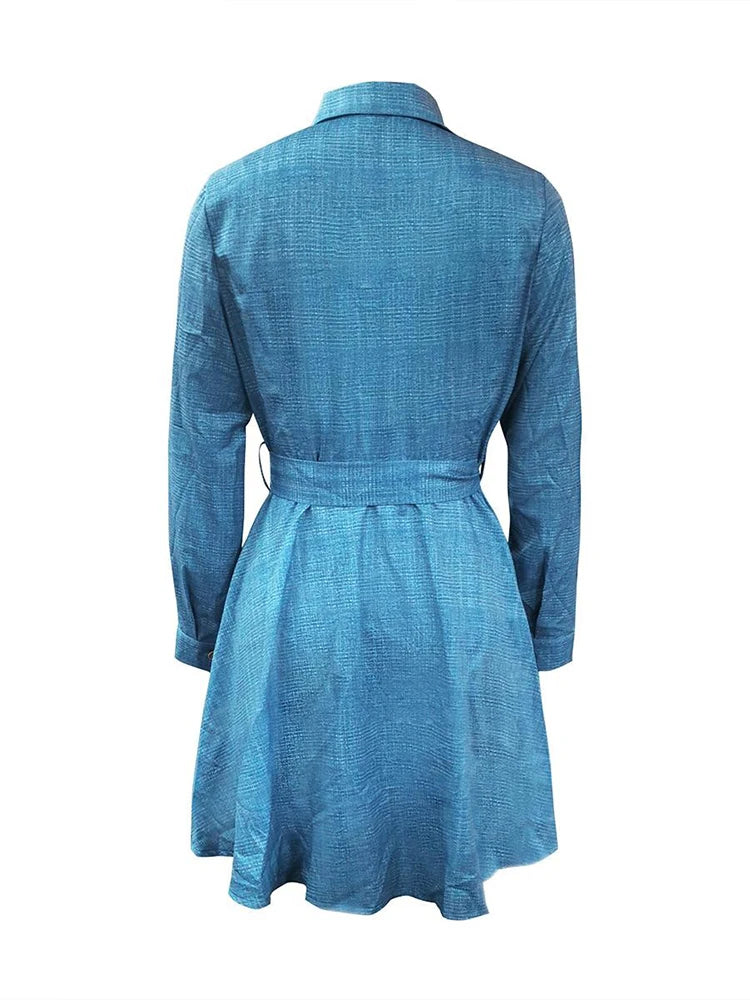 LW Casual Long Sleeve Pleated A-Line Midi Shirt Dress for Women