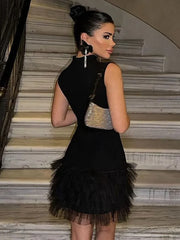 Black Sleeveless Dress with Layered Tulle Skirt for Chic Look