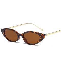 Ladies Cat Eye Sunglasses in Fashionable Small Frame Design