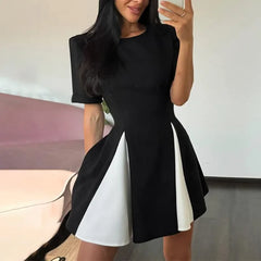 Elegant Black and White A-Line Dress with Flared Skirt Panels